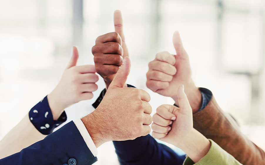 Schritt 3: Professionelle Reinigung